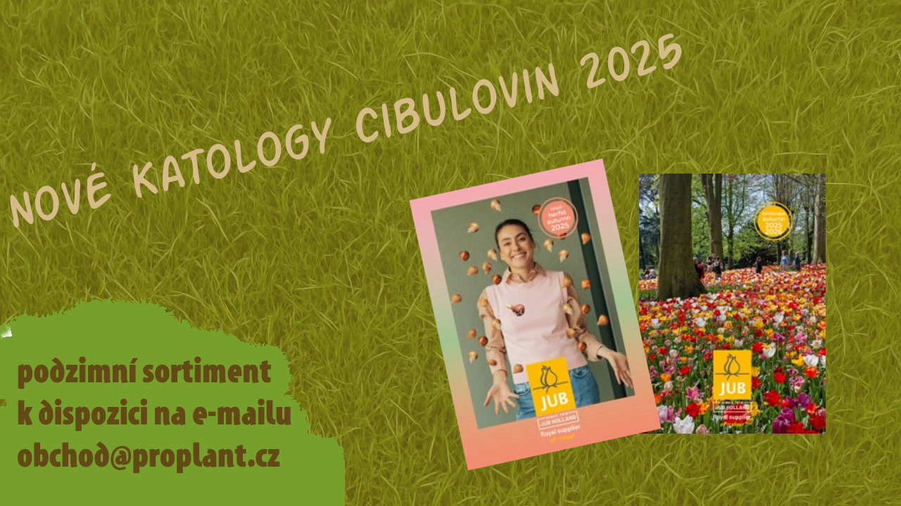 Katalogy_2025