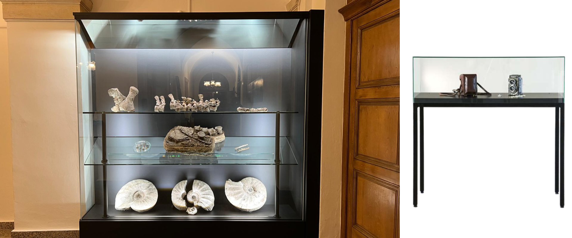 Závěsné systémy na obrazy