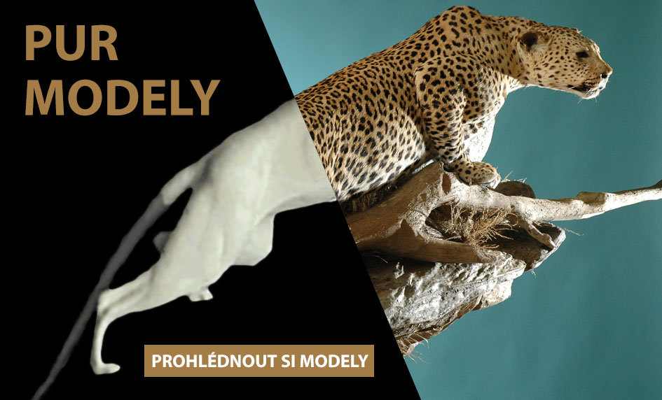 PUR modely