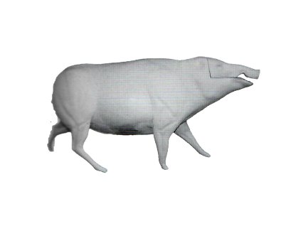 G2058