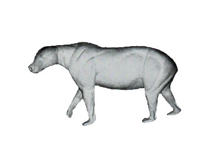 BG2001