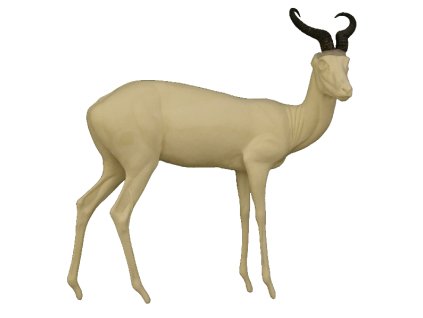 springbok celý