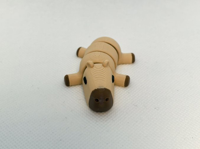 Kapybara