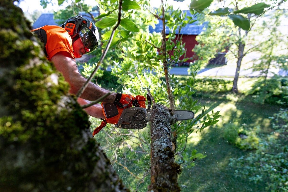 Arborista s aku pilou Husqvarna T540i XP s horní rukojetí