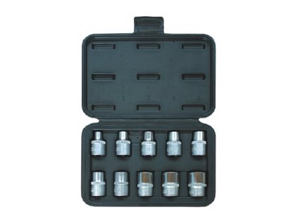 Sada nástrčných hlavic GOLA Torx E 1/2'' 10 d