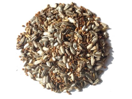 Střední papoušek 10