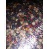 Avest Holub protein H4