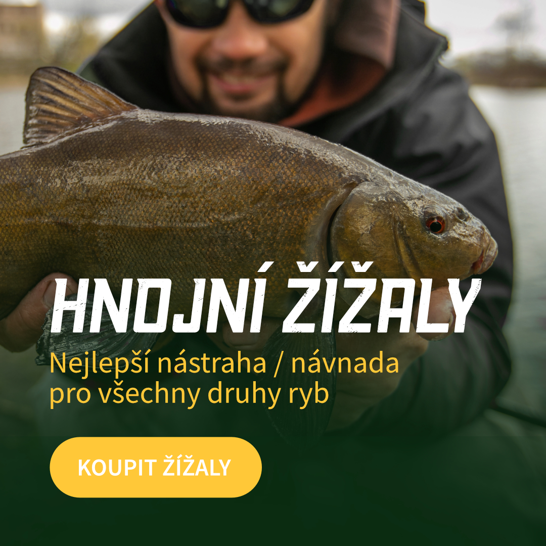 Hnojní žížaly