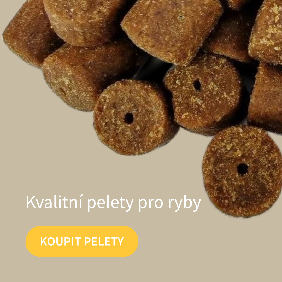 Kvalitní pelety pro ryby