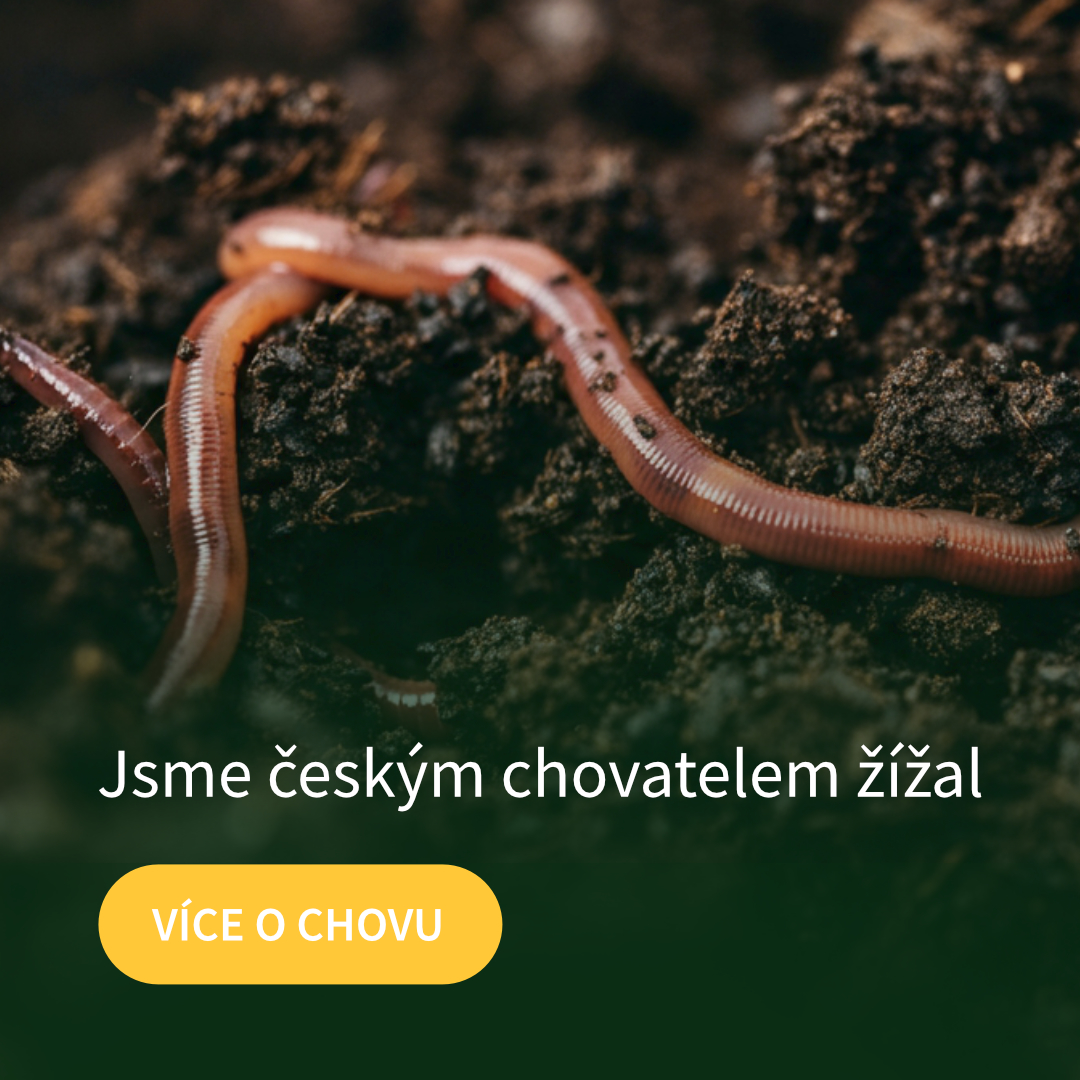 Jsme český chovatel žížal