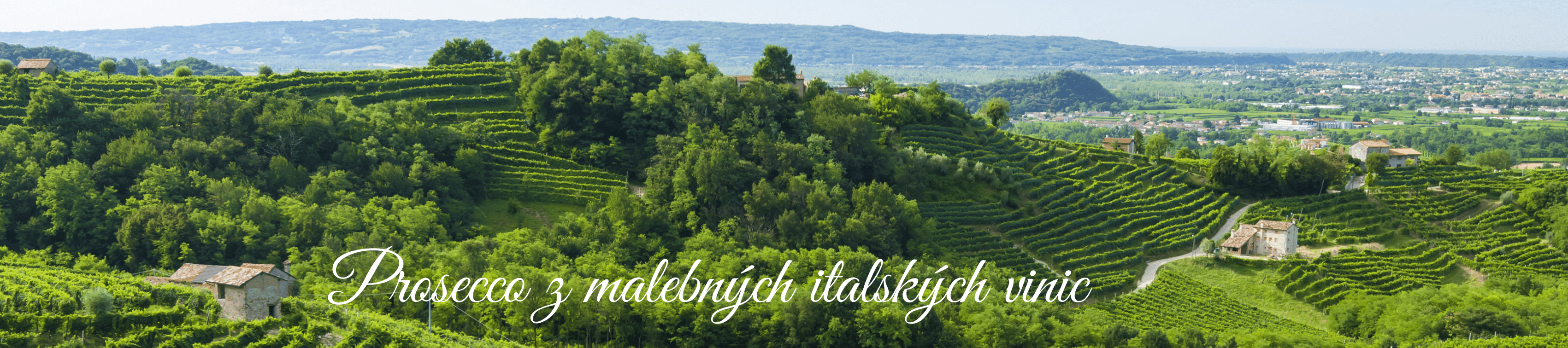 prosecco z malebných italských vinic