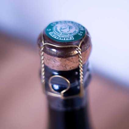 Bubble Master Profi workshop