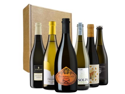 Le Bertole LETO SANTIN Prosecco Frizzante COL FONDO Brut Nature 0,75 l top min