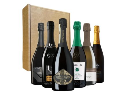 Degustační balíček Prosecco DOCG Extra Dry 6x0,75 l top min