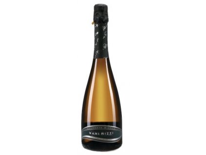 NANI RIZZI BOLLICINE, EXTRA DRY