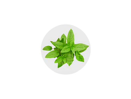 menta