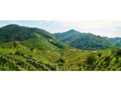 strada prosecco 1
