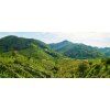 strada prosecco 1