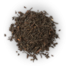 T1