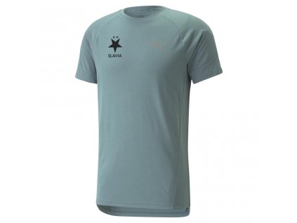 Puma Evostripe mint T-Shirt