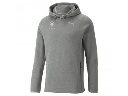 Puma Evostripe Hoodie Gray