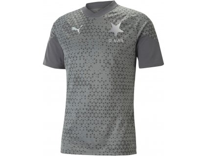 Training Jersey teamCUP Slavia grey