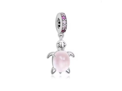 Snímek obrazovky 2026 01 25 220432