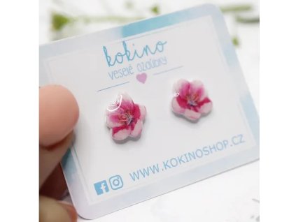 Snímek obrazovky 23 1 2025 103453 www.kokinoshop.cz