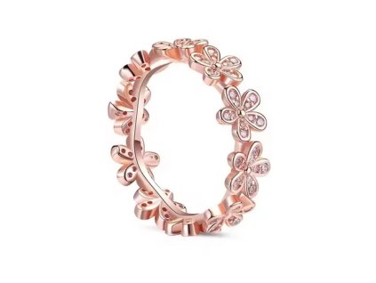 Snímek obrazovky 2025 12 10 195415