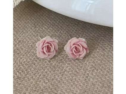 Snímek obrazovky 2026 02 26 125751