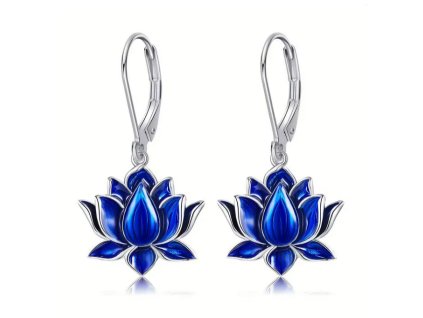 Snímek obrazovky 2026 02 26 132044