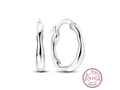 Snímek obrazovky 2026 02 26 143542