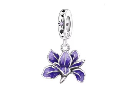 Snímek obrazovky 2026 02 26 144832