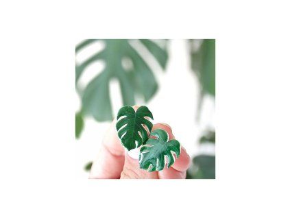 nausnice monstera pecky kokino