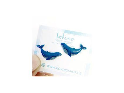 nausnice velryby pecky kokino