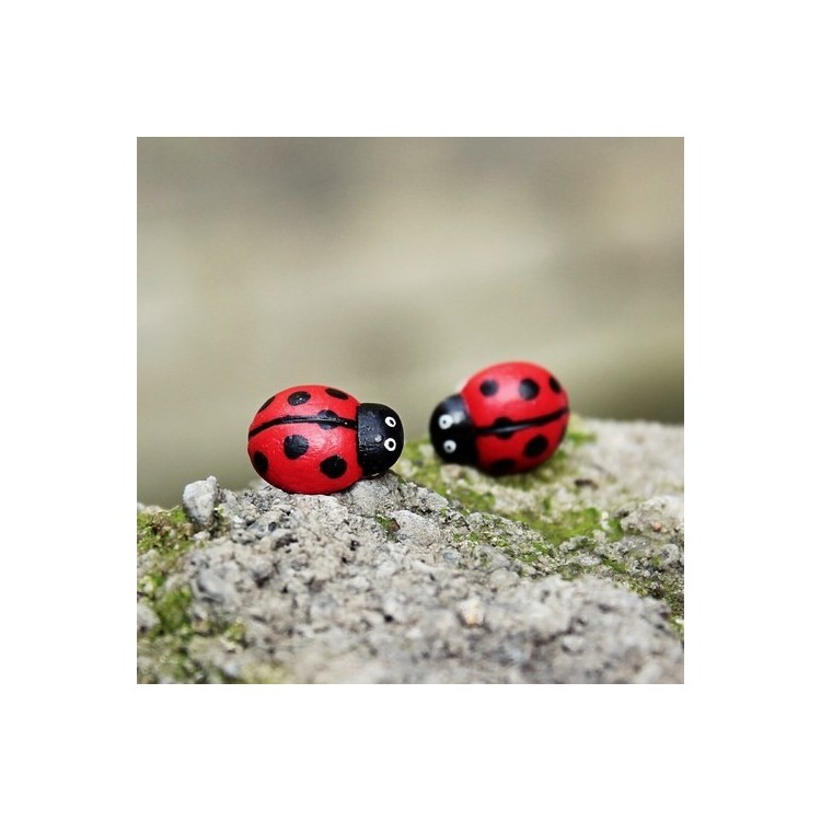 CircusMind Náušnice Fimo pecky berušky S1331