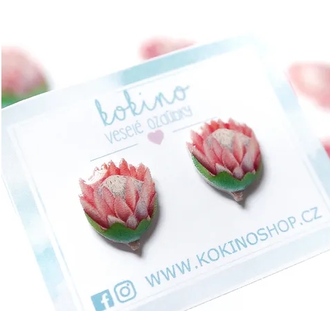 Náušnice Protea pecky - kokino