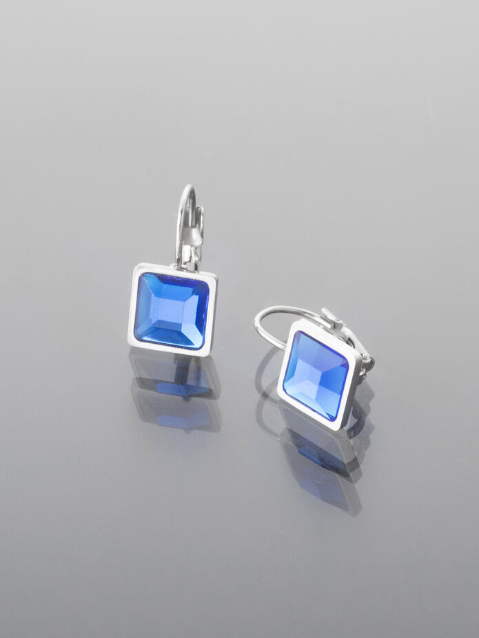 Prosperk Náušnice z chirurgické oceli s velkým modrým krystalkem stříbrná S2467