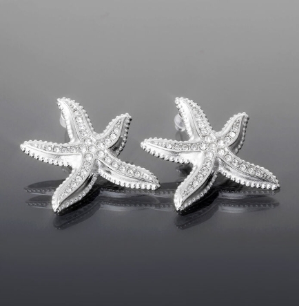 Prosperk Náušnice z leštěné chirurgické oceli, mořské hvězdice stříbrná