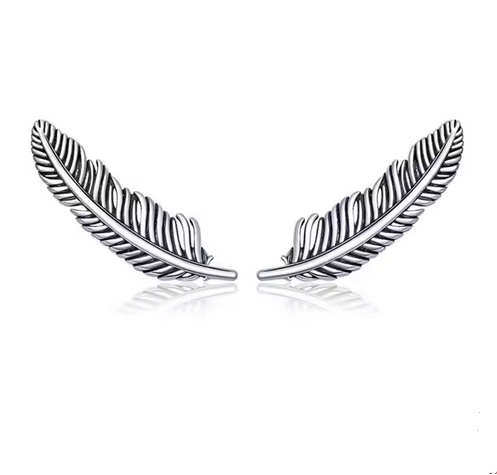 Prosperk Náušnice stříbrná peříčka