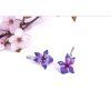 Náušnice Fialky PARADA