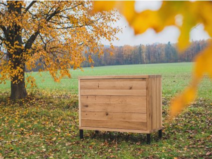 Masivni dubova komoda : Proste dub