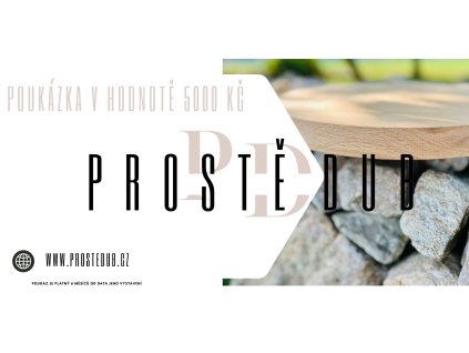 Brown White Modern Professional Real Estate Banner.zip 1
