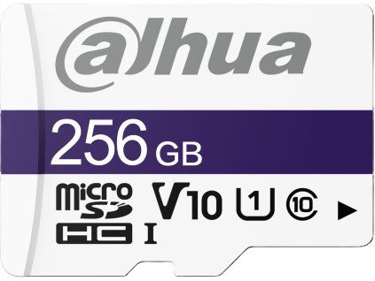 Dahua TF-C100/256GB