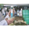 Testo 206-pH2 pH meter Sada