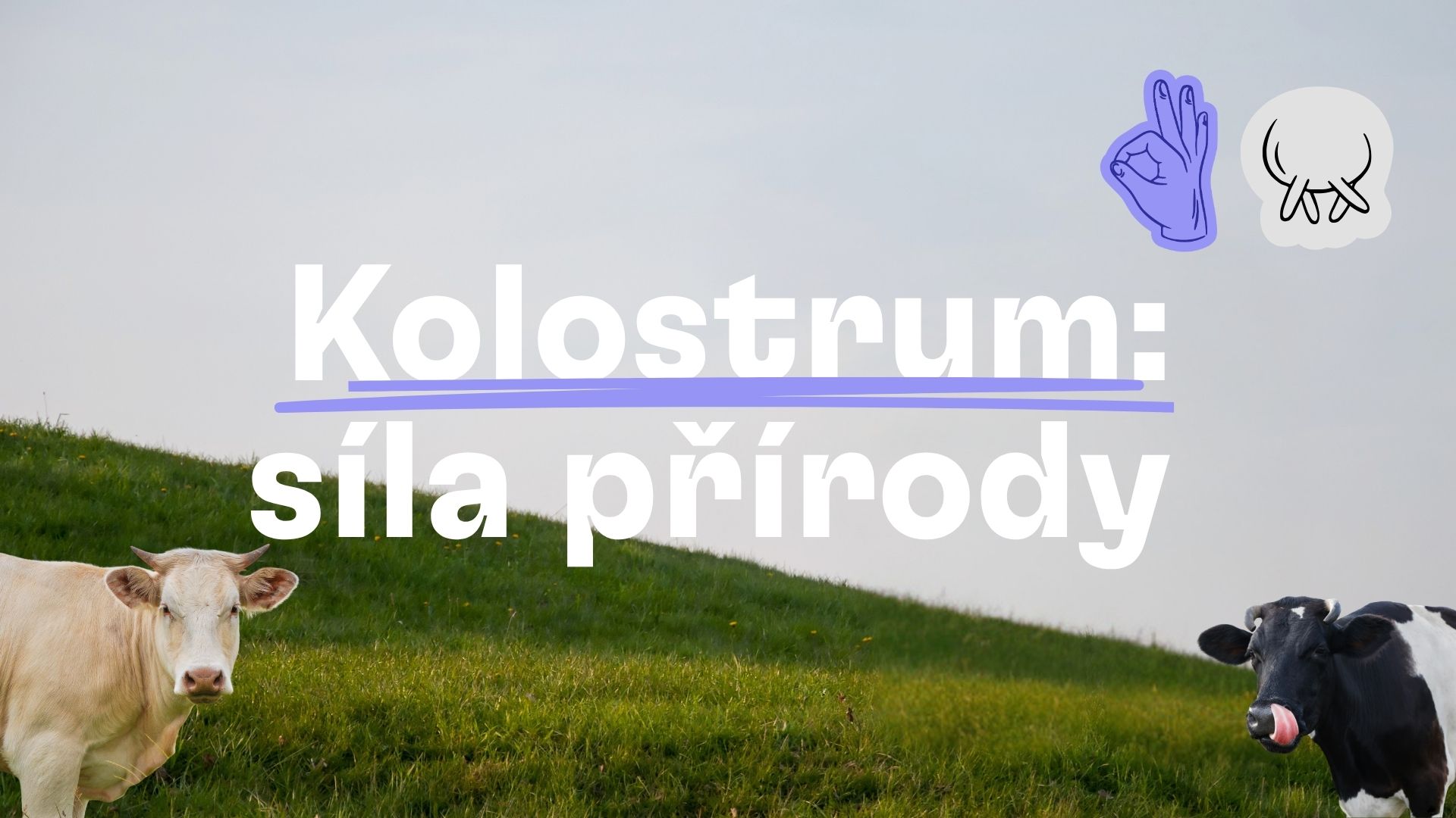 Kolostrum: Co to je a stojí za to?