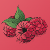 Pure raspberry