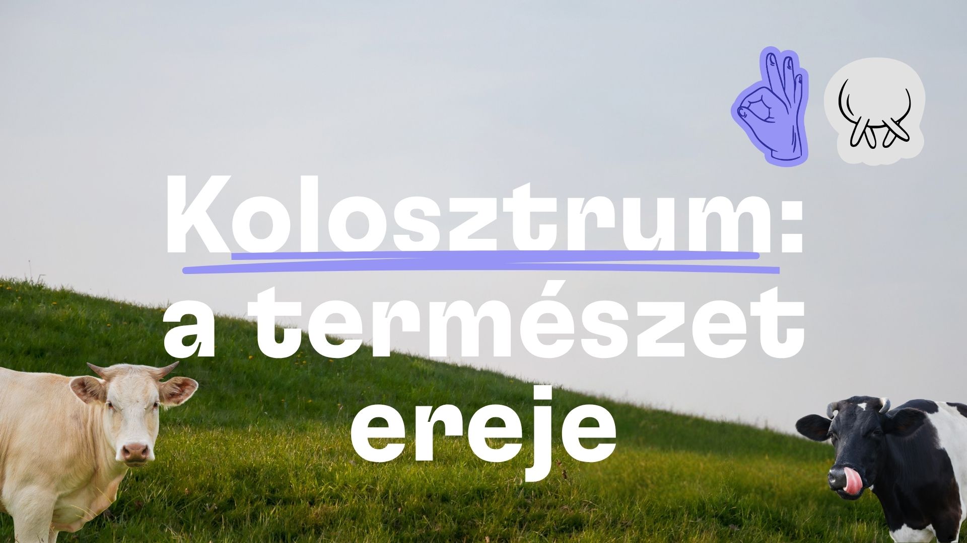 Kolosztrum: Mi az, és megéri a pénzét?