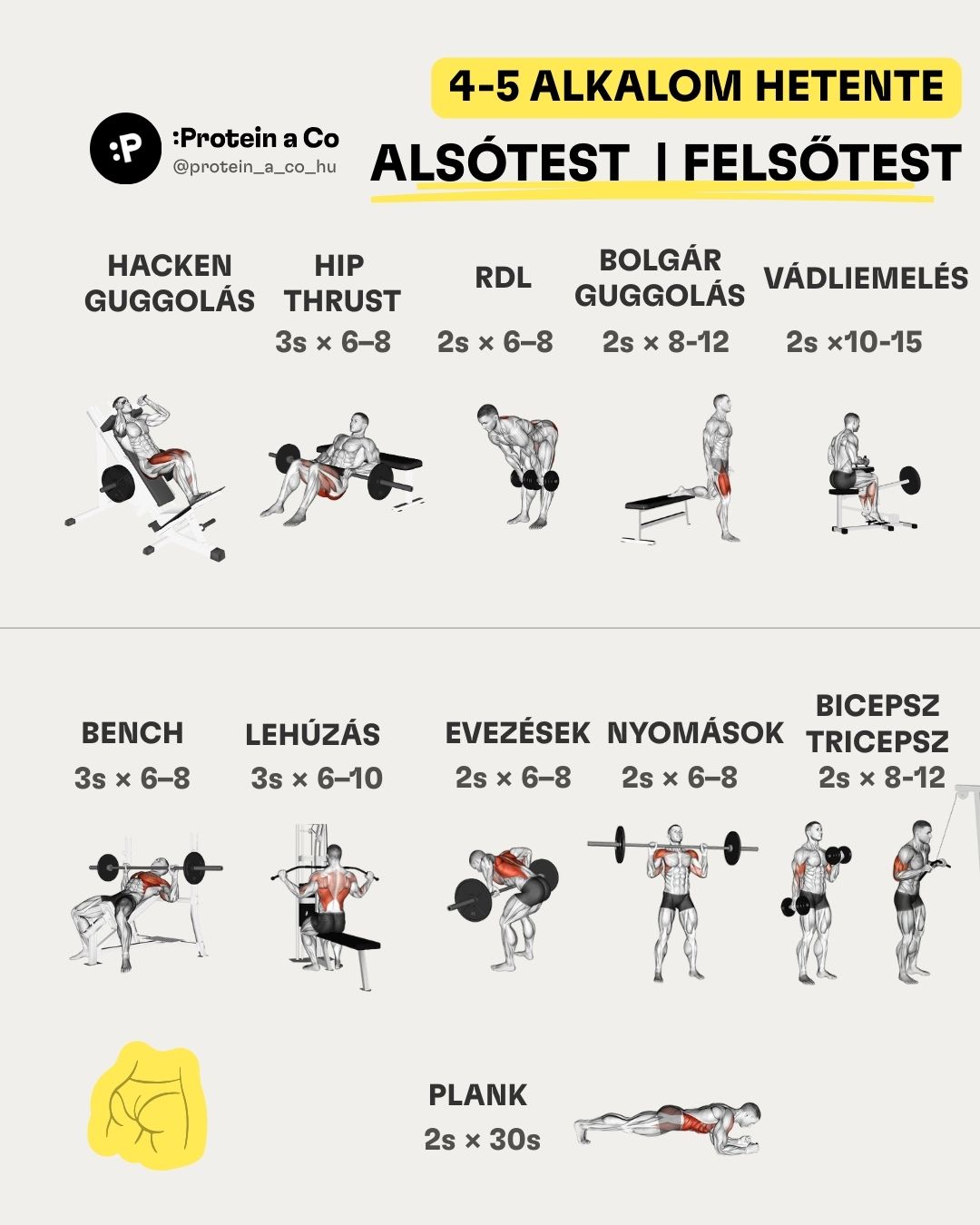 Jak-si-nastavit-treninkovy-plan-3b-HU-clanek-cviceni-proteinaco