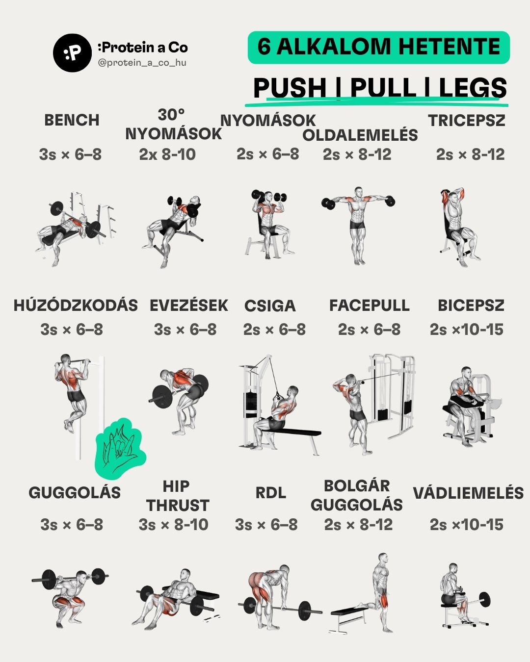 Jak-si-nastavit-treninkovy-plan-4-HU-clanek-cviceni-proteinaco